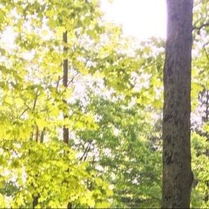 Meet your Posher, Paige